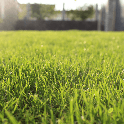 Water less and make your lawn stronger and more resilient with these summer lawn care tips.