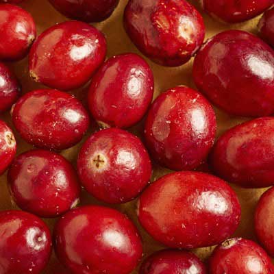 Fresh cranberry sauce recipe in New Jersey