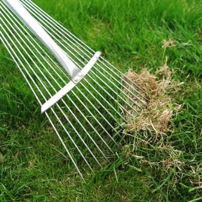 One of our summer lawn care tips fro your Cherry Hill, NJ property is to get rid of your thatch using a dethatching rake or with core aeration.