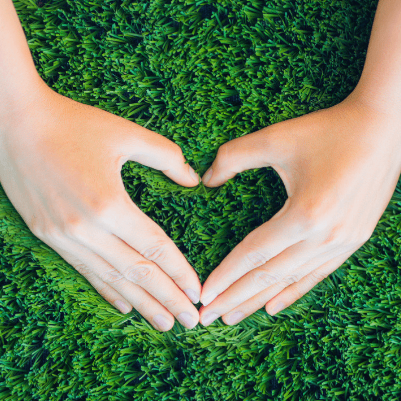 Make sure your're watering your lawn to give it the love it needs.