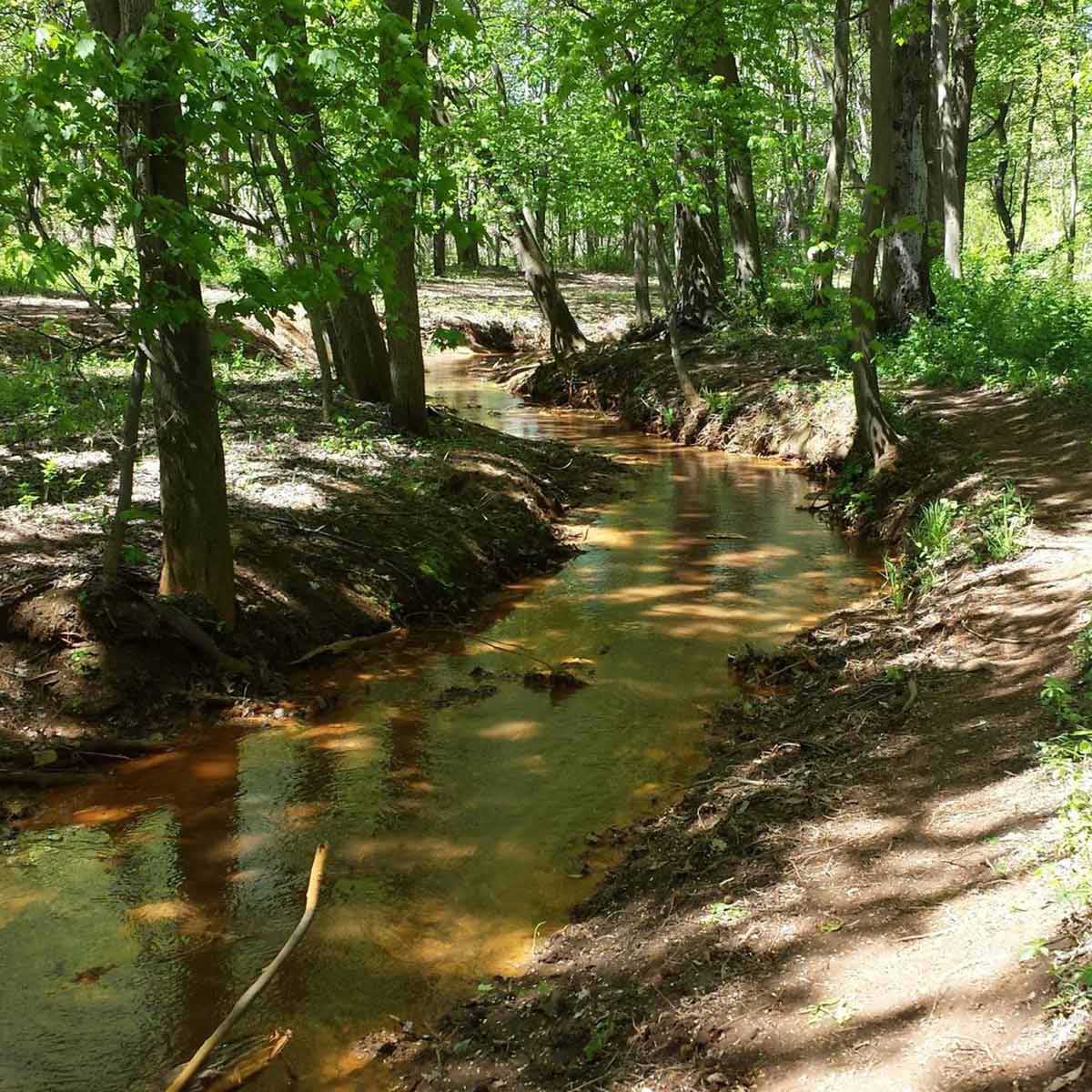 A stream runs through the woods at Laurel Acres Park near Marlton, NJ.