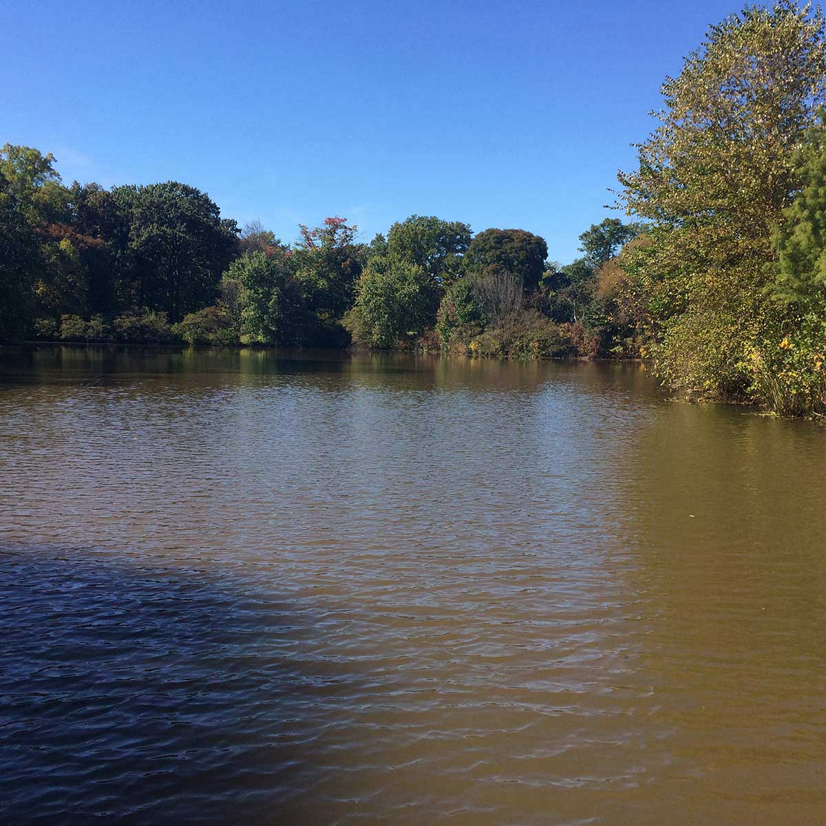 Elements Lawn Care Serves Our Neighbors in Moorestown, NJ