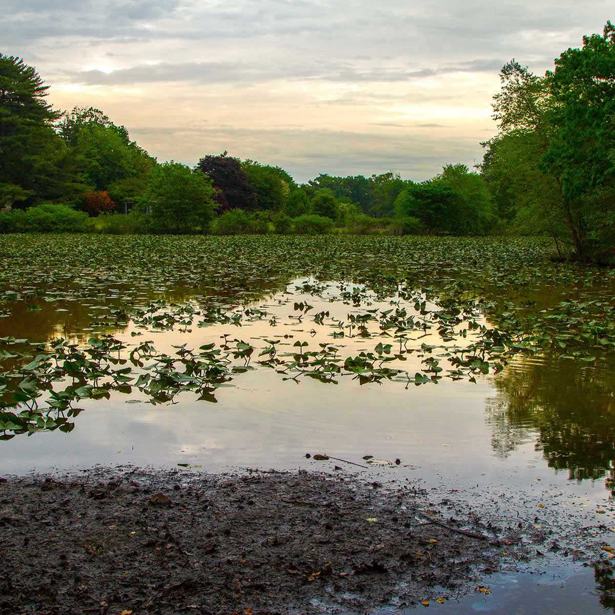 Enjoy the water at Strawbridge Lake Park near Mount Laurel, NJ.