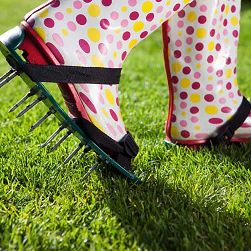 what are the benefits of lawn aeration