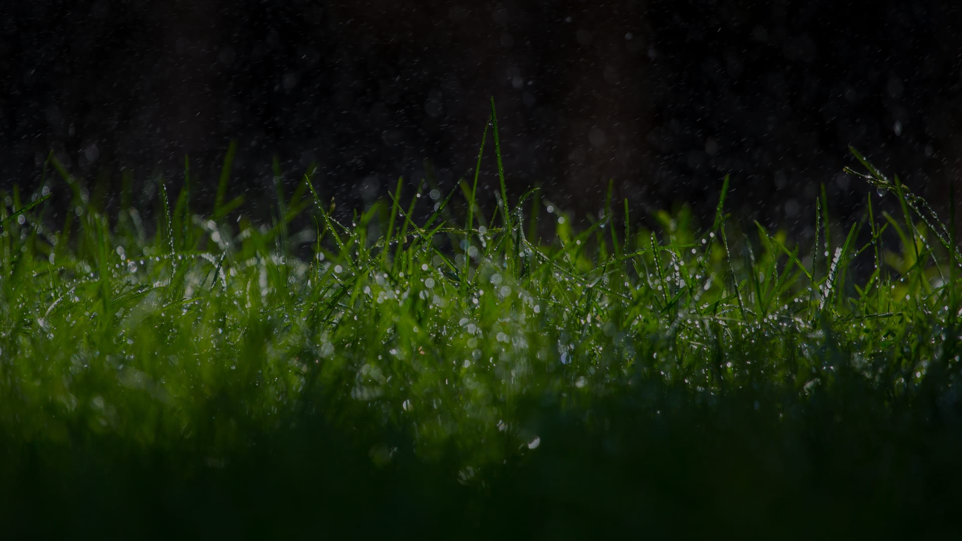 parallax background