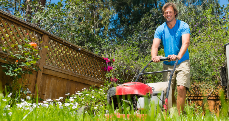 Lawn Mowing Techniques: A Detailed Guide on Mowing Practices - Elements ...