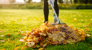 How to Prepare Your Lawn for Winter in New Jersey, Delaware & Pennsylvania 1